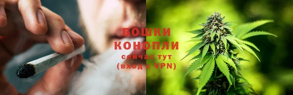 спиды Каменск-Шахтинский