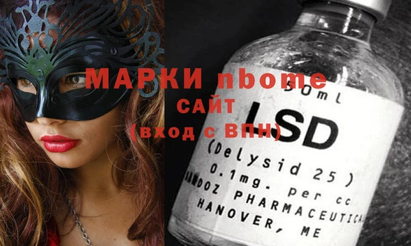 МДПВ Каменка