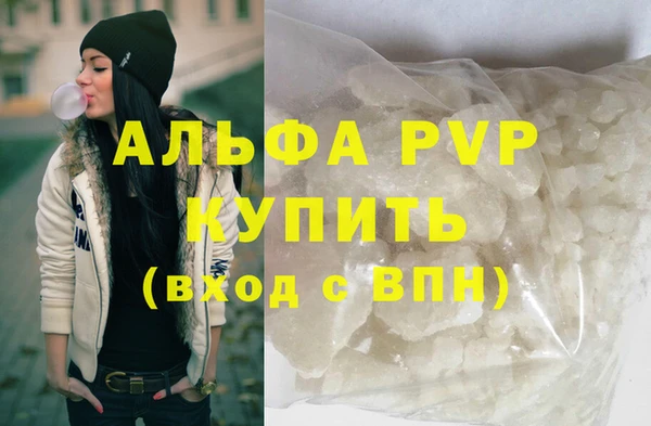 МДПВ Каменка