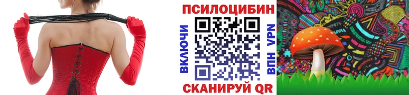 Галлюциногенные грибы прущие грибы  где купить наркоту  Козловка 